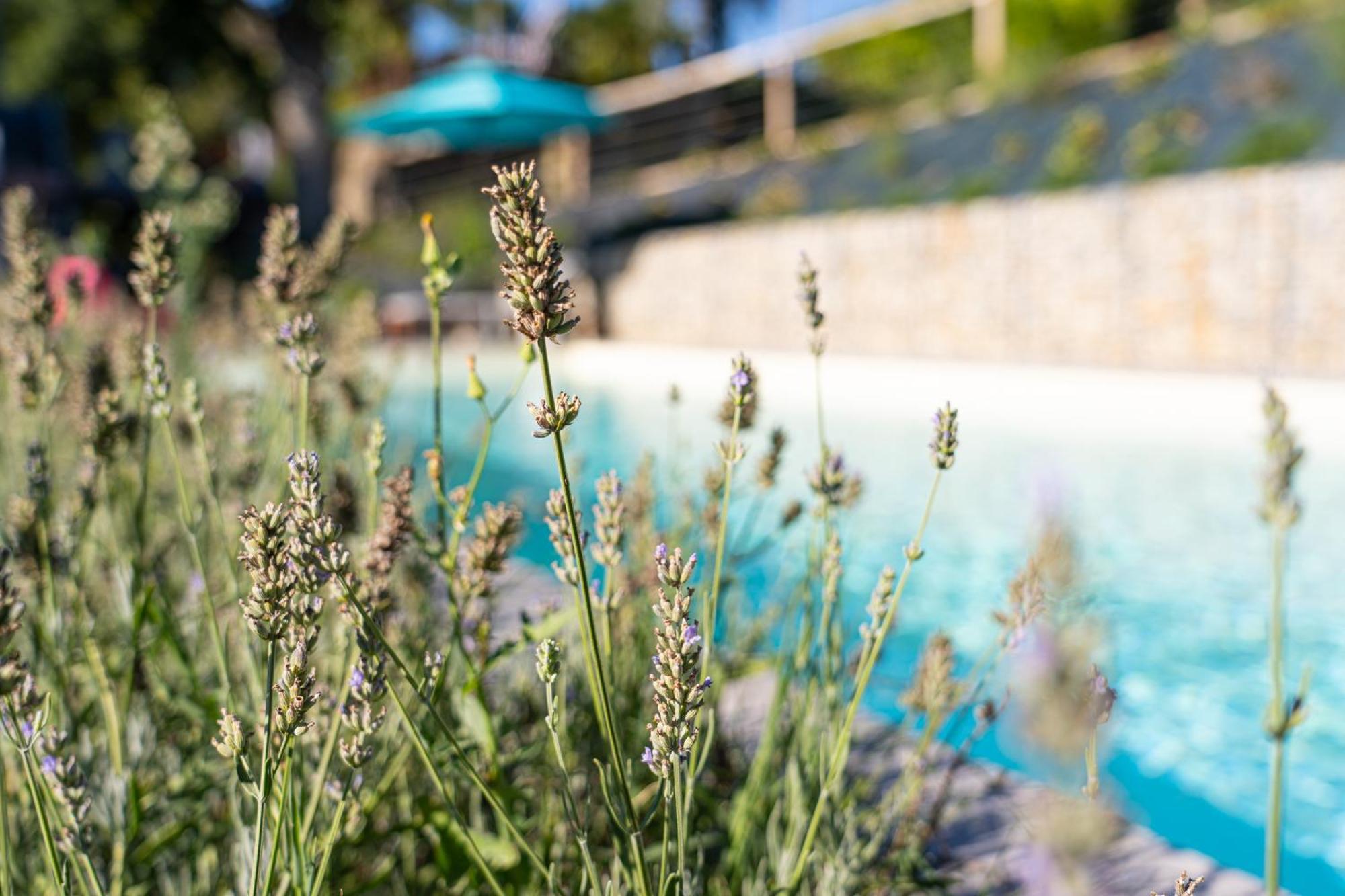 Cascina Giantino Suite Cantina - G A Y - M E N - O N L Y (Adults Only) Montegrosso d'Asti Exterior photo